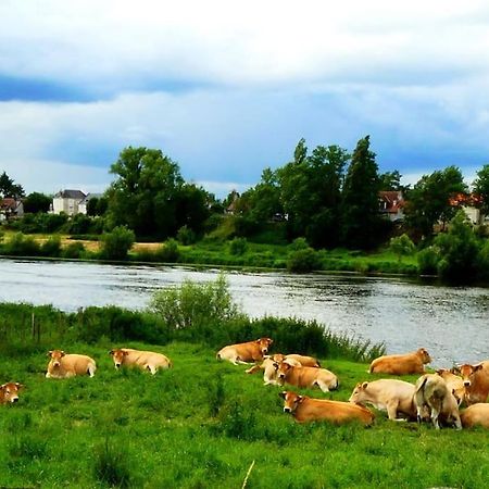 Maison De Bourg Paisible Parcay-sur-Vienne Ngoại thất bức ảnh
