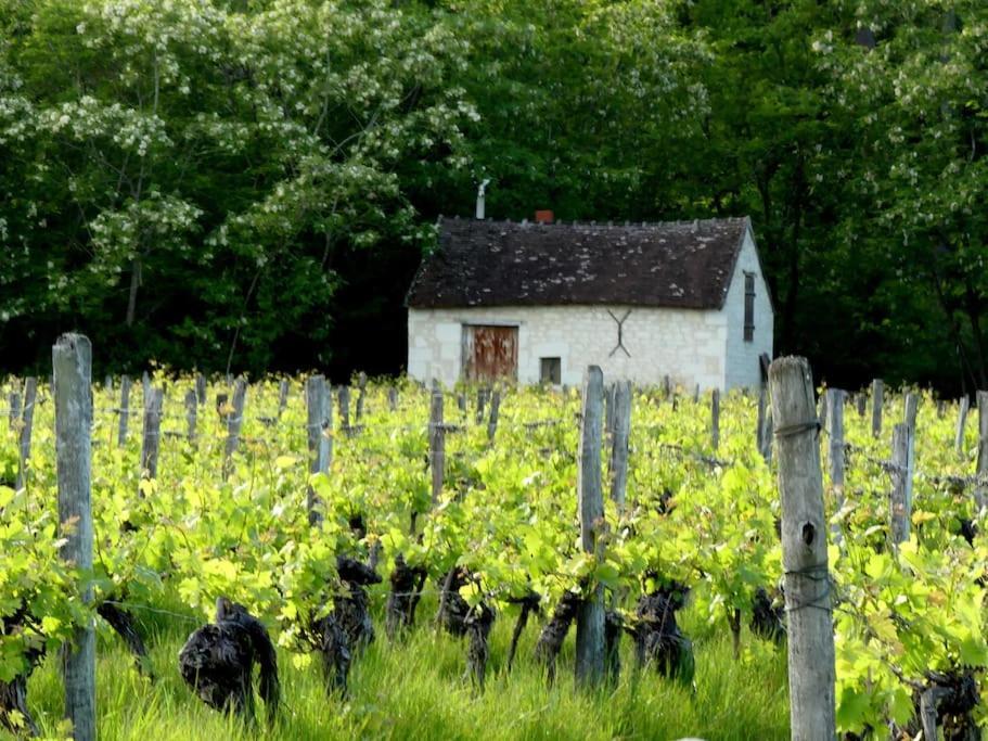 Maison De Bourg Paisible Parcay-sur-Vienne Ngoại thất bức ảnh